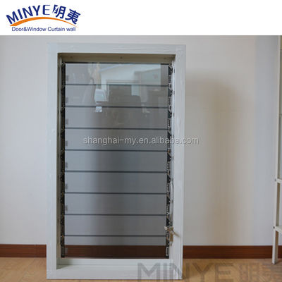 Decoratieve aluminiumlegering orkaanglasluwer blad venster voor veiligheidsmaatregelen