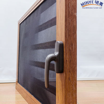 Custom Colors Aluminium Glasluik Venster Chinese top hardware voor moderne huizen