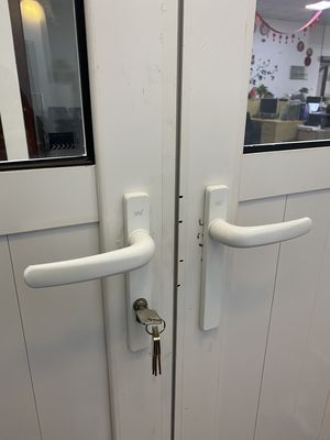 Werkplaatsdeur 2023 Stijl Swing Casement deur met Chinese top hardware promotie
