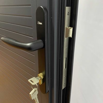 Moderne design stijl Grijze aluminium plaat enkelvoudige deur voor kasten deuren