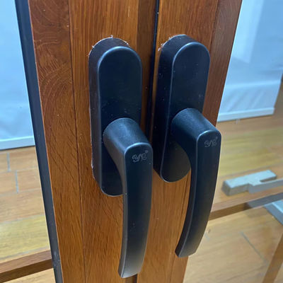 Verticale aluminium French Casement Venster De perfecte combinatie van stijl en functie
