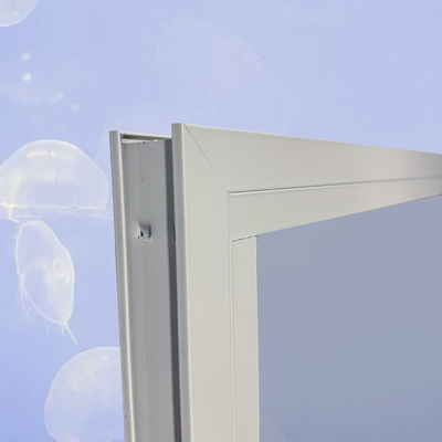 Aluminiumframe dubbelgehard glas zwart beeldvenster voor productpromotie